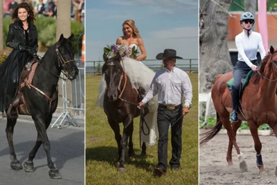 'Heartland' star Amber Marshall and other celebrities who love horses
