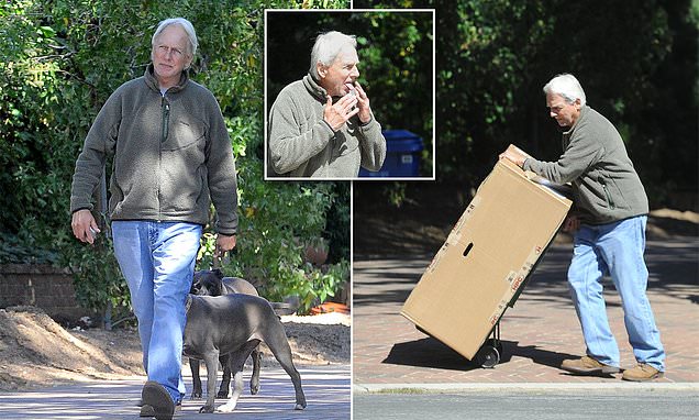 Retired Mark Harmon walks his dog in first sighting since leaving NCIS