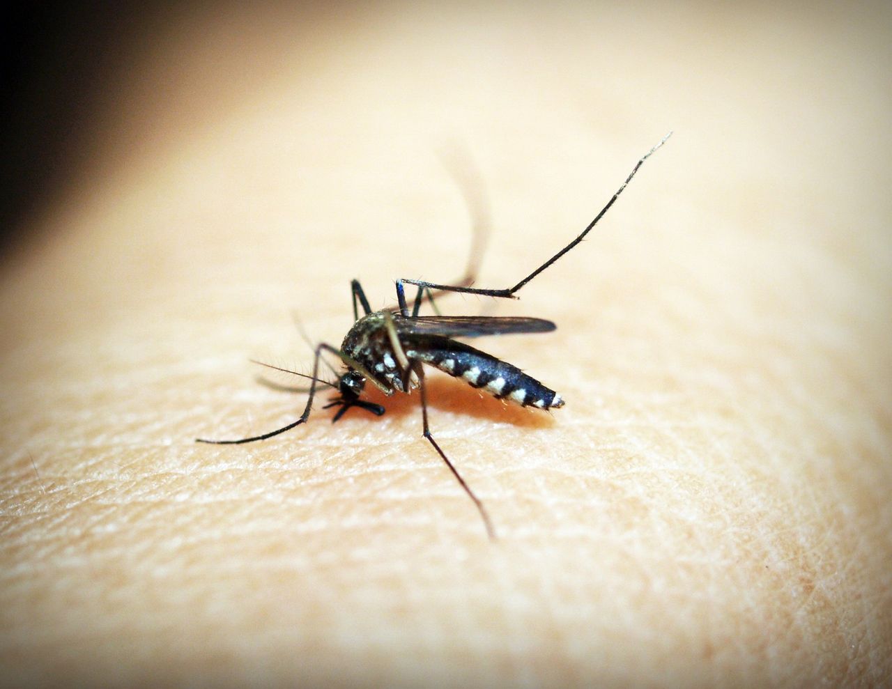New malaria vaccine to be used in Ghana