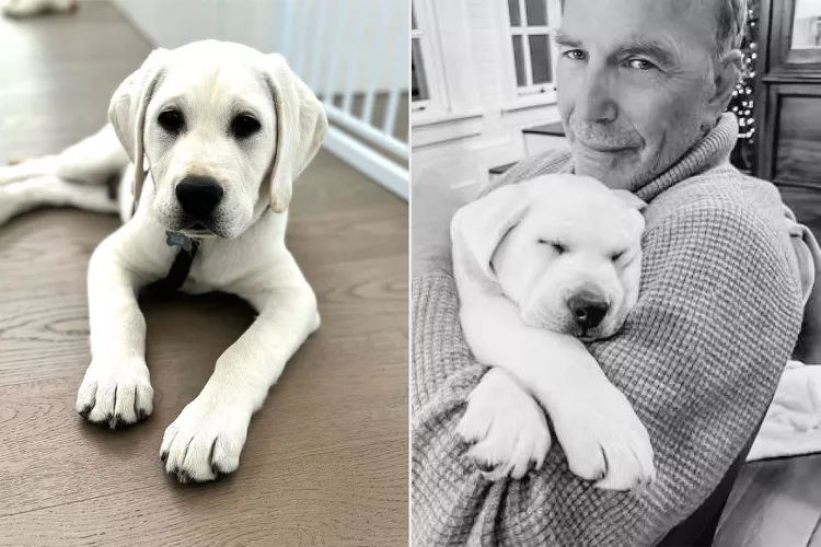 Kevin Costner Welcomes New Puppy